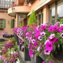 프로방스 레스토랑 이미지