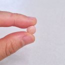 산호제일약국 | 임신준비 예비부부 필수영양제 정리 비타민 엽산 칼슘 오메가3 옥타코사놀 쏘팔메토