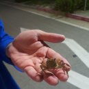 (주)가온리조트 이미지