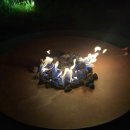 [국내 여행] 정선 파크로쉬 리조트앤웰니스 내돈내산 후기 (꿀팁, 힐링 시설 등)
