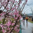 신론보건진료소 이미지