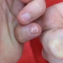 올스타피자전주송천점 이미지