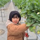 유봉농장 이미지