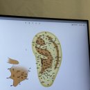 동탄대로19길 | 동탄 오산동 마사지 귀 관리 이어테라피 후기 셀비오 동탄점