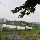 박재현 컨설팅 행정사사무소 이미지