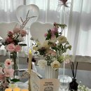 오마이구미 이미지