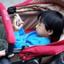 조비농장 이미지