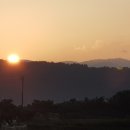 호명농장 이미지