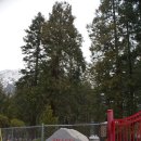[2016년 2,3월호] 참나를 찾는 미주의 수행처 샤스타 애비 선원(Shasta Abbey) 방문기 /송광섭 이미지
