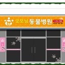 인애머리방 네이버블로그