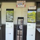 자작나무숲펜션 | 2026 용인 자작나무숲 방문 후기｜폭포·온실·레스토랑·펜션까지 하루 힐링 코스