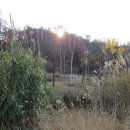 까치울역 이미지