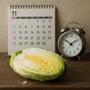 (12/15) 배추김치 담그기 | 절임배추 담그기 좋은 시기와 이유