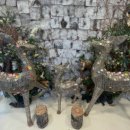 강원사슴목장 이미지