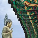 한국의 아름다운 단청 이미지