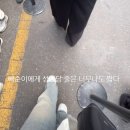 대전 혼.여 후기 🤘🥖💕