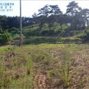 청원상가빌라 이미지