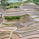 사포마을 이미지