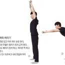 봄맞이 '허리근력' 키우는 3가지 운동법 이미지