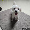 [일산 맛집] 비스트로이니 솔직 후기