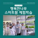 행복한나무 단체와 함께한 도심형 스마트팜 체험 🌱