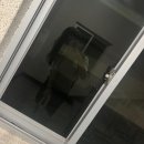 샌드당 | 260531♥︎