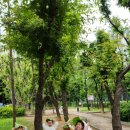 7월 가정통신문(견우직녀달) 이미지