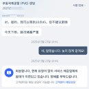 [중국 상하이] 푸동 공항에서 시내로... 트립닷컴 공항 픽업 후기