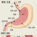 미쯔이식 주열 이미지