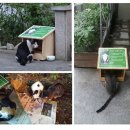 강동파출소 이미지