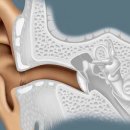 서울난청센타 이미지