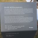 이마트24 군산교육문화회관점 | ① 능동 서울어린이대공원- ( 2025.10.01 )