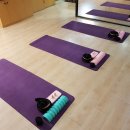 바디웰 피트니스 | 가로수길 강남체형교정 SNPE바른자세운동으로 건강하고 바른몸 챙겨요