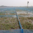 한상기 농장 이미지