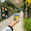 서울집 | 울릉도 봉래폭포 호박식혜 맛집 서울집 후기