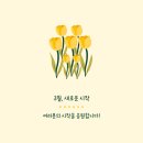 다이소화서