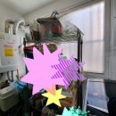 동부초교 이미지