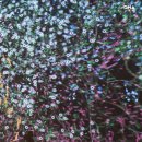 대전시립미술관 이미지