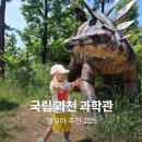 풍남동-03(생태체험관) | 과천 국립박물관 영유아 추천코스 유아체험관,곤충생태관,공룡공원,자연사관