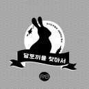 달토끼 이미지