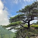 울산광역시 울주군 주계바위능선에서 주암의 돛단배를 타고 쉬엄쉬엄 초록의 바다로~.. 이미지