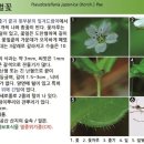 조은산림 이미지