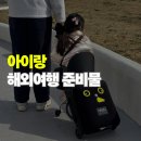 이지글로벌 | 아기 해외여행 준비물 추천, 타는 캐리어 마이크로 러기지 이지 사용 후기