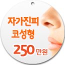 휴먼성형외과 네이버블로그