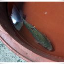 삼사낚시터 이미지