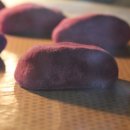 빵먹는 강아지 이미지