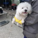 진주성로