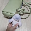 보부상길 (LC마트 후문) | 해산물이 넘쳐났던 2025년의 마지막 일상일기