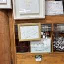 송정꽃게집 | 태안 안면도 아일랜드리솜 근처 블루리본 맛집 "송정꽃게집" 내돈내산 후기 아이랑