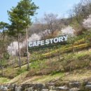 카페스토리(cafe story) 이미지